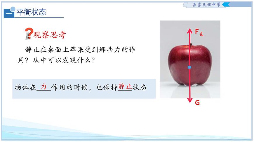 7.5 二力平衡 2025学年八年级物理下册（北师大版2024） 课件第7页