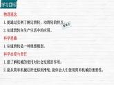 11.2 滑輪及其應(yīng)用 課件 2024-2025學(xué)年物理滬科版八年級全一冊