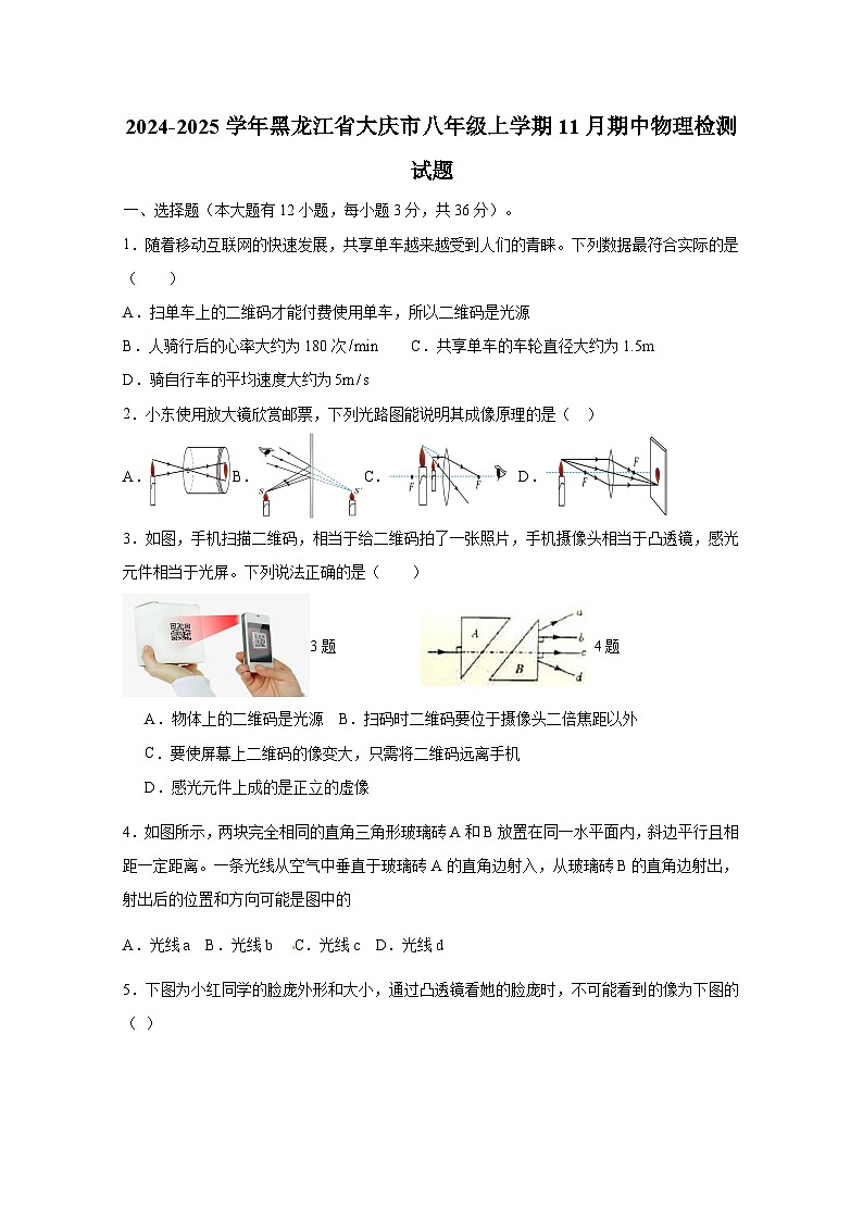 2024-2025学年黑龙江省大庆市八年级上学期11月期中物理检测试题（附答案）第1页