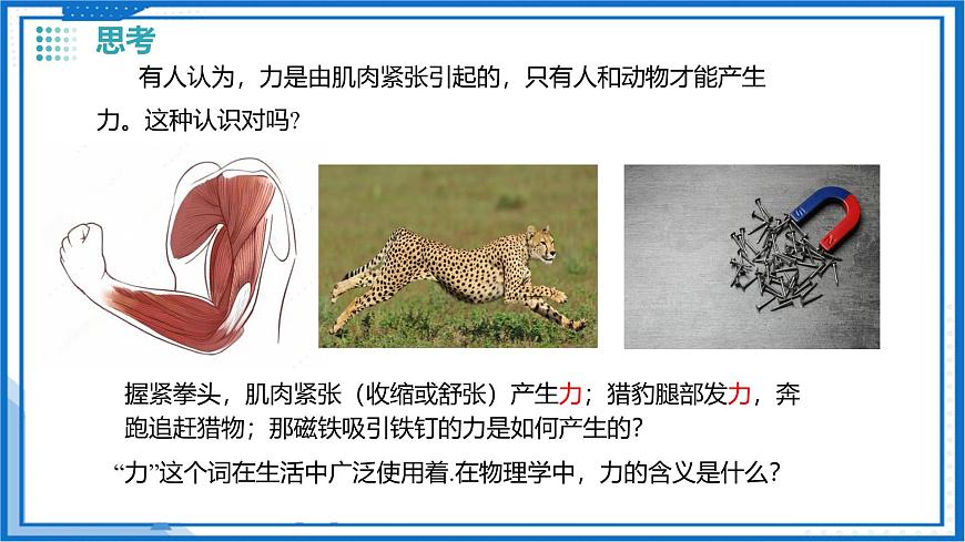 7.1力 弹力-2024-2025学年苏科版物理八年级下学期 课件第6页