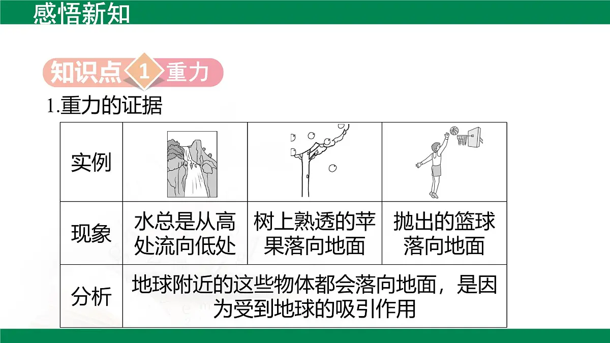 7.3重力-2024-2025学年人教版物理八年级下学期 课件第3页