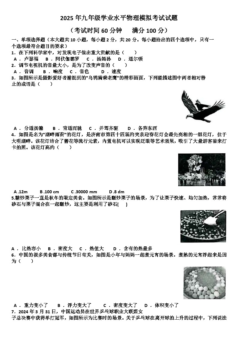 2025年九年级下学期物理模拟考试试题(适用沪科版)（含答案）第1页