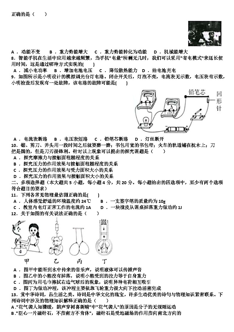 2025年九年级下学期物理模拟考试试题(适用沪科版)（含答案）第2页