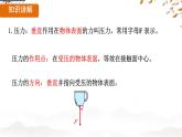 8.1 壓力的作用效果 課件-2024-2025學(xué)年滬科版物理八年級下冊