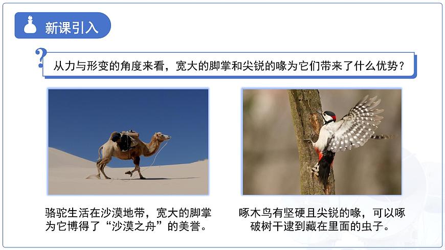 9.1《压强》课件 物理教科版（2024）八年级下册第3页