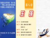 8.1 壓力的作用效果 課件-2024-2025學(xué)年滬科版物理八年級下冊