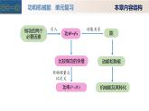 第十一章 功和機(jī)械能（單元復(fù)習(xí)課件）八年級(jí)物理下冊(cè)（人教版2024）