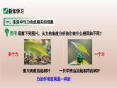 7.2 力的合成 課件-2024-2025學(xué)年滬科版物理八年級(jí)全一冊(cè)