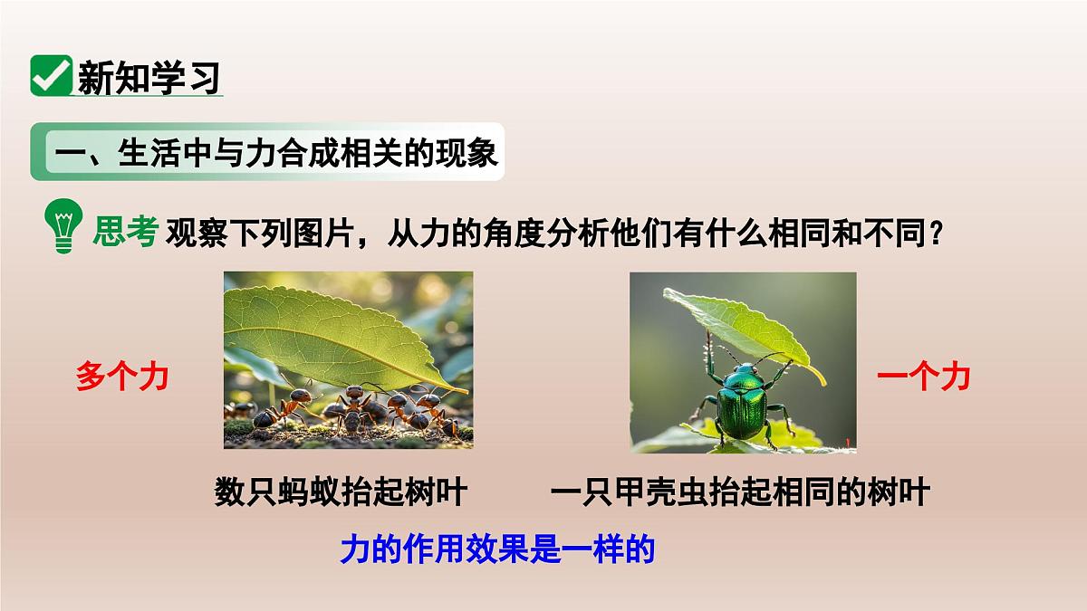 7.2 力的合成 课件-2024-2025学年沪科版物理八年级全一册第5页