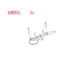 初中物理新滬科版八年級(jí)全冊(cè)第十一章第一節(jié)習(xí)題11.1教學(xué)課件2025春