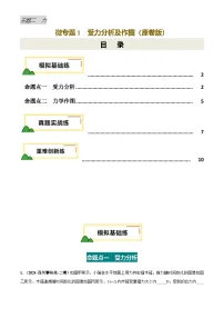 力学微专题1 受力分析及其作图（练习）-2025年中考物理重难突破讲练
