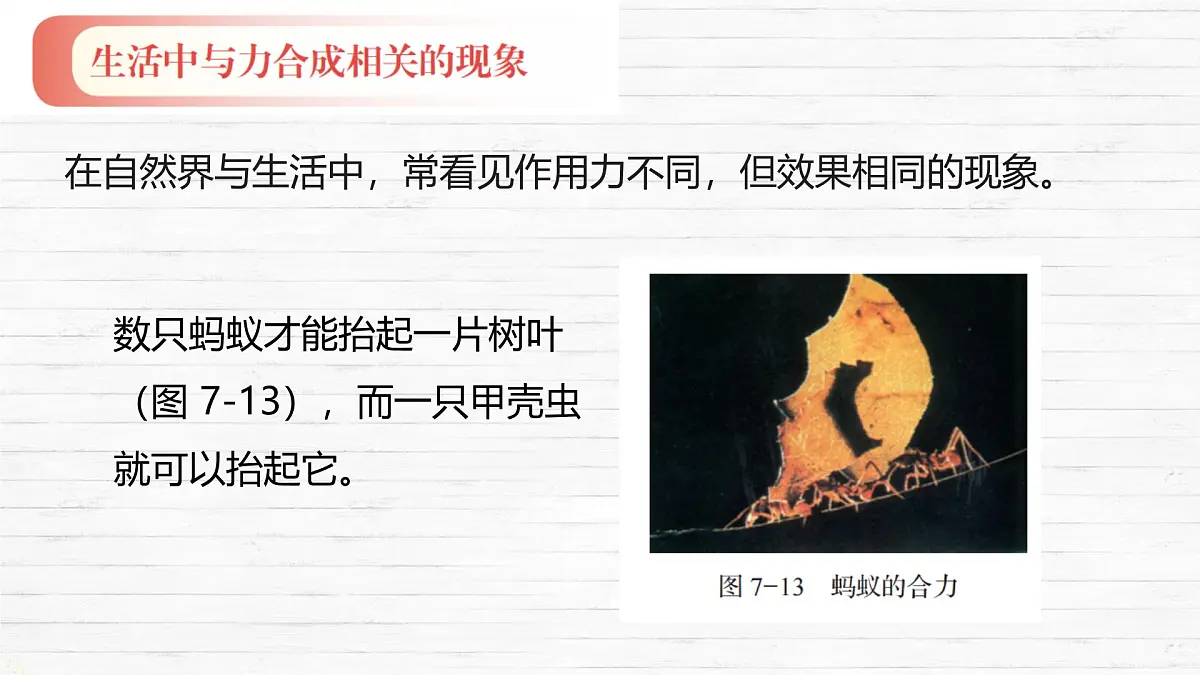 7.2 力的合成 课件-2024-2025学年沪科版物理八年级下册第4页