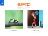 6.1 力 課件 2025學年物理滬粵版八年級下冊