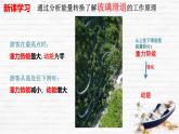 第十章 功與機械能 實踐 探究游樂設(shè)施中的功與能 課件 2024-2025學(xué)年滬科版物理八年級全一冊