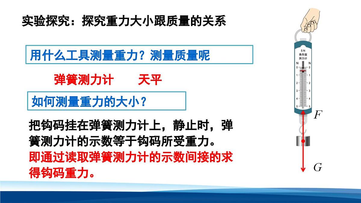 新人教版物理 八下 7-3《 重力》课件第5页
