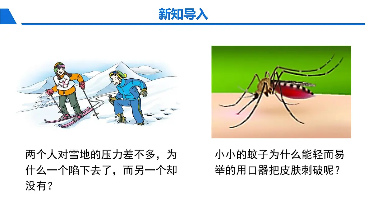新人教版物理 八下 9-1《压强》教学课件第2页