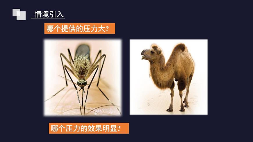 新人教版物理 八下 9-1《压强》课 件课件PPT第6页