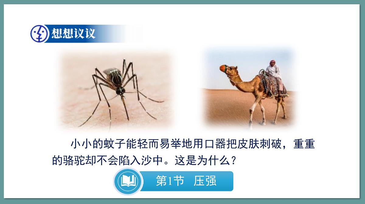 新人教版物理 八下 9-1课件：压强第6页