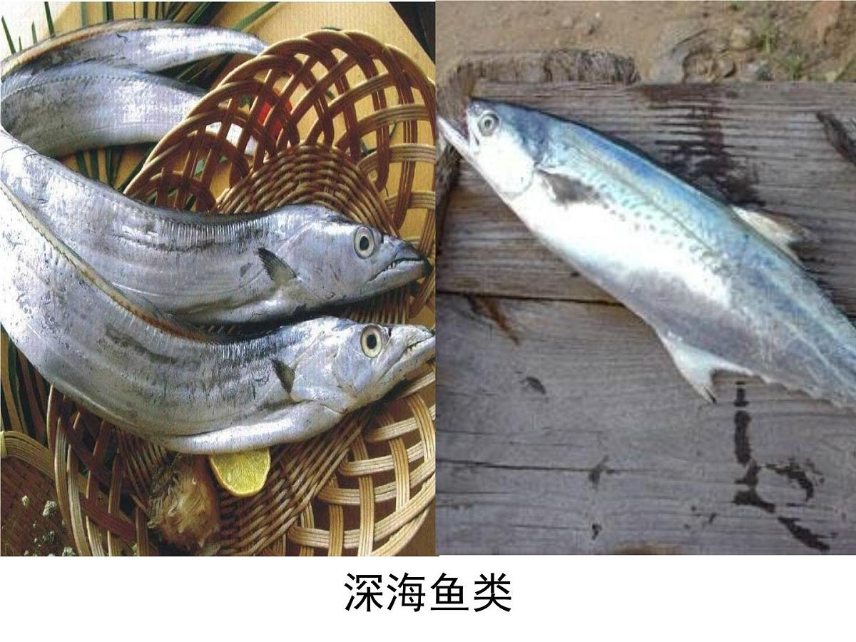 新人教版物理 八下 9-2《液体的压强》 课件第2页