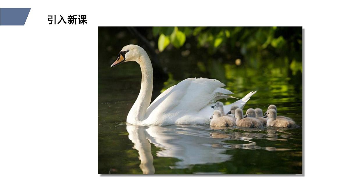 新人教版物理八下 10-1《浮力》课件第2页