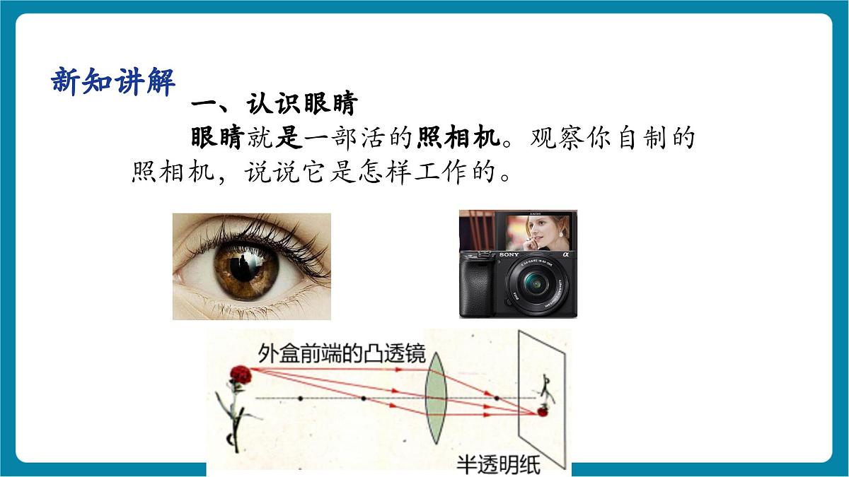 4.6 跨学科实践： 眼睛 课件第7页