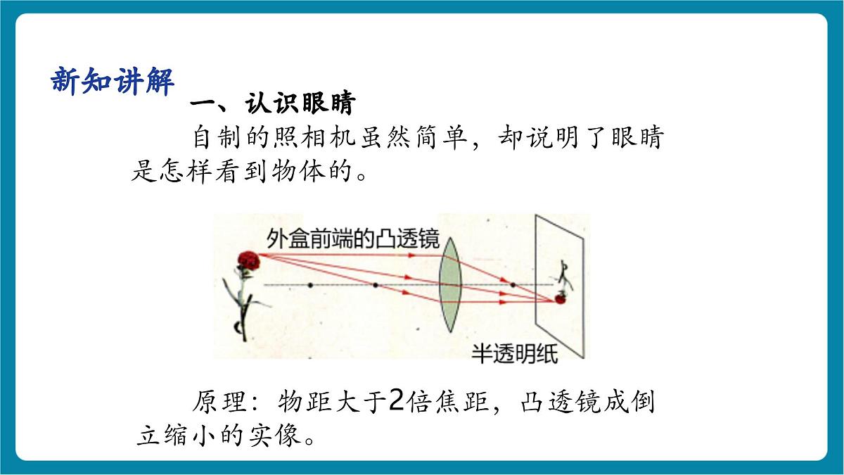 4.6 跨学科实践： 眼睛 课件第8页
