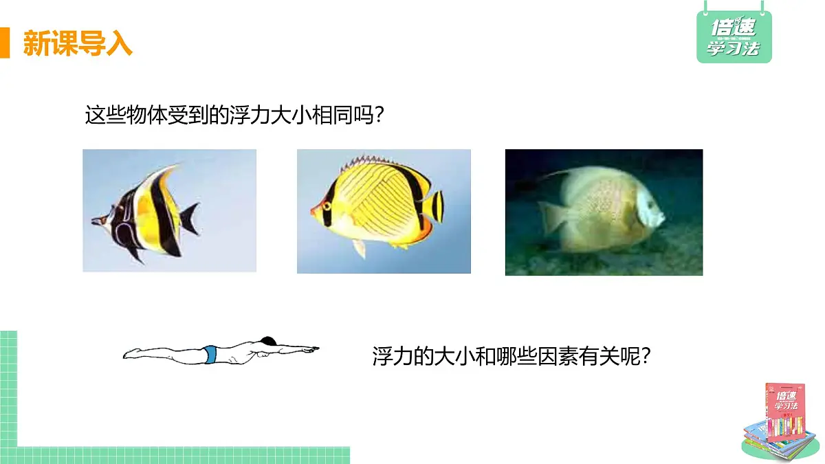 第二节 阿基米德原理第5页