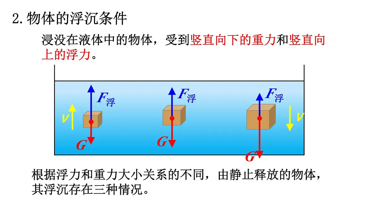 初中物理新人教版八年级下册第十章第三节第一课时 物体的浮沉条件教学课件2025春第5页
