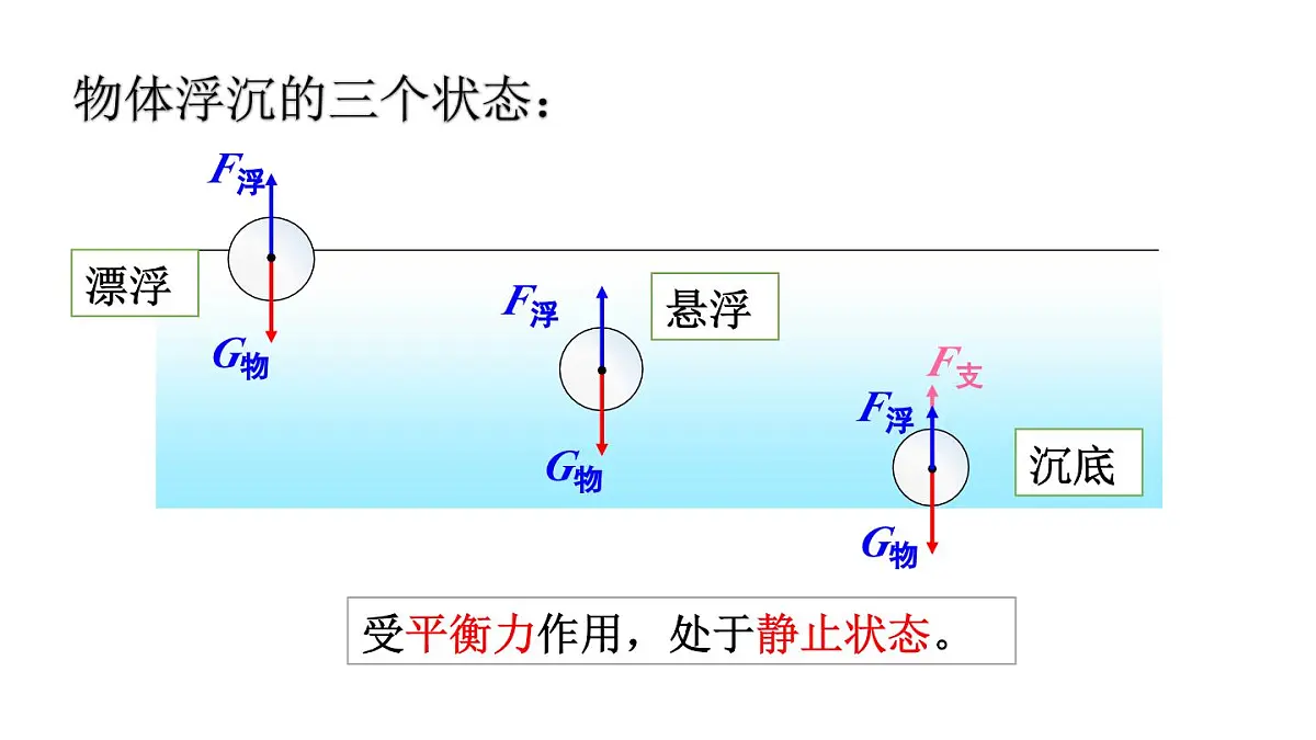 初中物理新人教版八年级下册第十章第三节第一课时 物体的浮沉条件教学课件2025春第8页