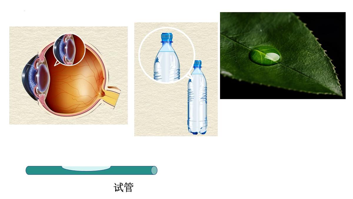 第06课时+透镜及其应用-【复习课】2025年中考物理一轮复习（全国通用）课件第6页