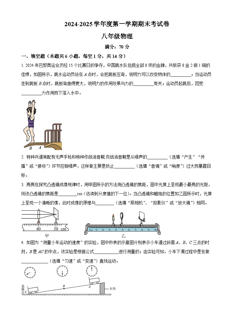 河南省周口市鹿邑县2024-2025学年八年级上学期期末物理试题（原卷版+解析版）第1页