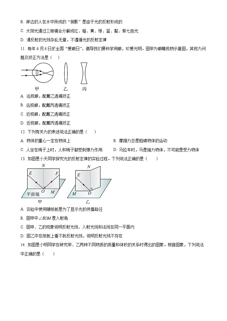 河南省周口市鹿邑县2024-2025学年八年级上学期期末物理试题（原卷版+解析版）第3页