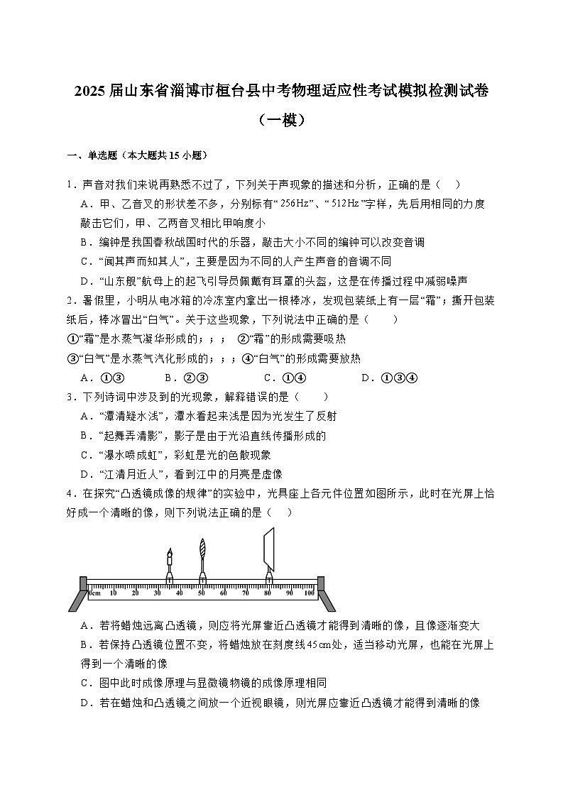 2025届山东省淄博市桓台县中考物理适应性考试模拟检测试卷（一模）附解析第1页