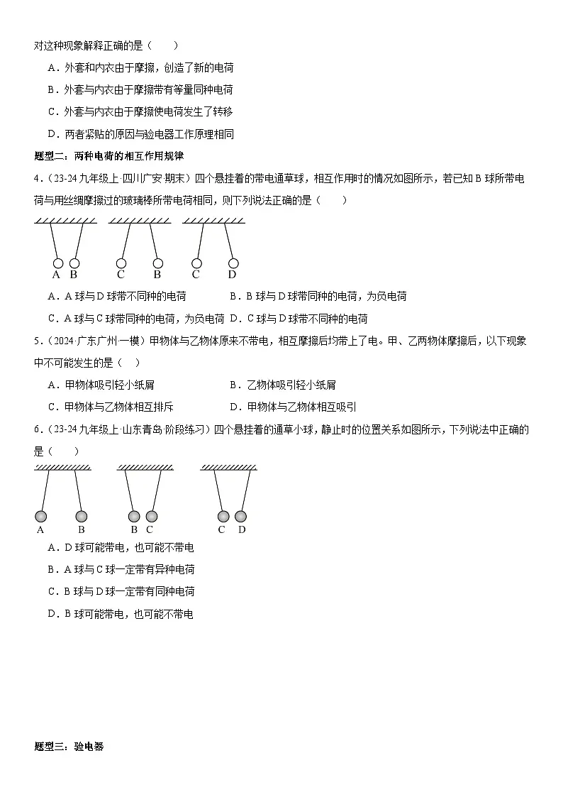 第06讲：两种电荷 原卷版第3页