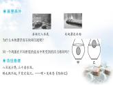 粵教滬科版八年級(jí)物理下冊(cè)9.3物體的浮沉第1課時(shí)物體的浮沉條件課件