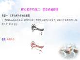 粵教滬科版八年級(jí)物理下冊(cè)第六章力和機(jī)械核心素養(yǎng)專題二簡(jiǎn)單機(jī)械作圖課件