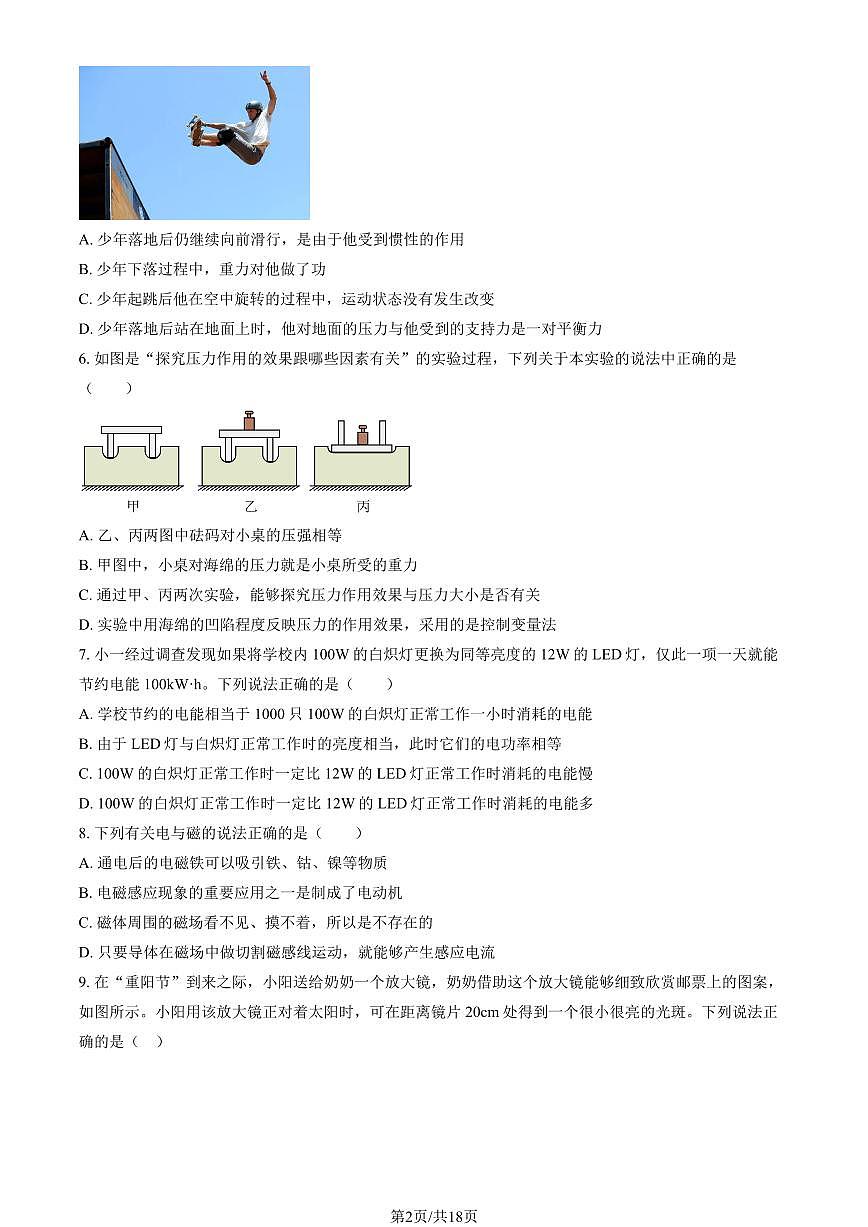 2025北京陈经纶中学分校初三（下）开学考物理试卷（教师版）第2页