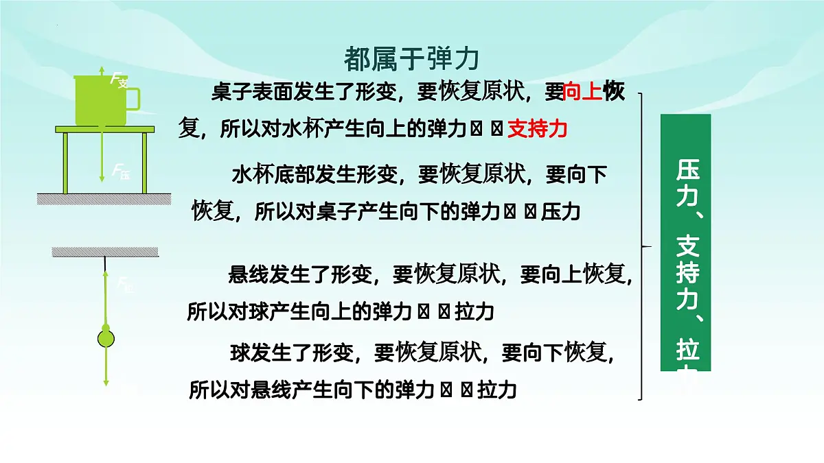 7.2弹力 2025学年人教版物理八年级下册 课件第8页