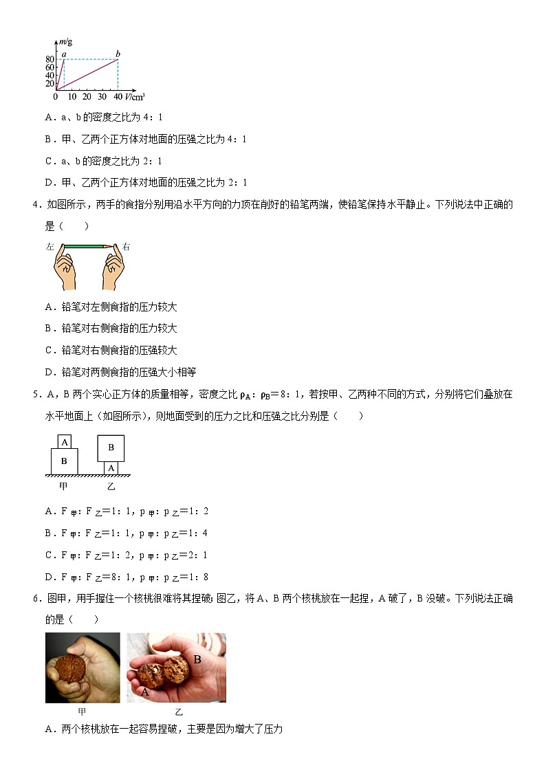 第09章 压强（核心考点讲练）（原卷版）第3页