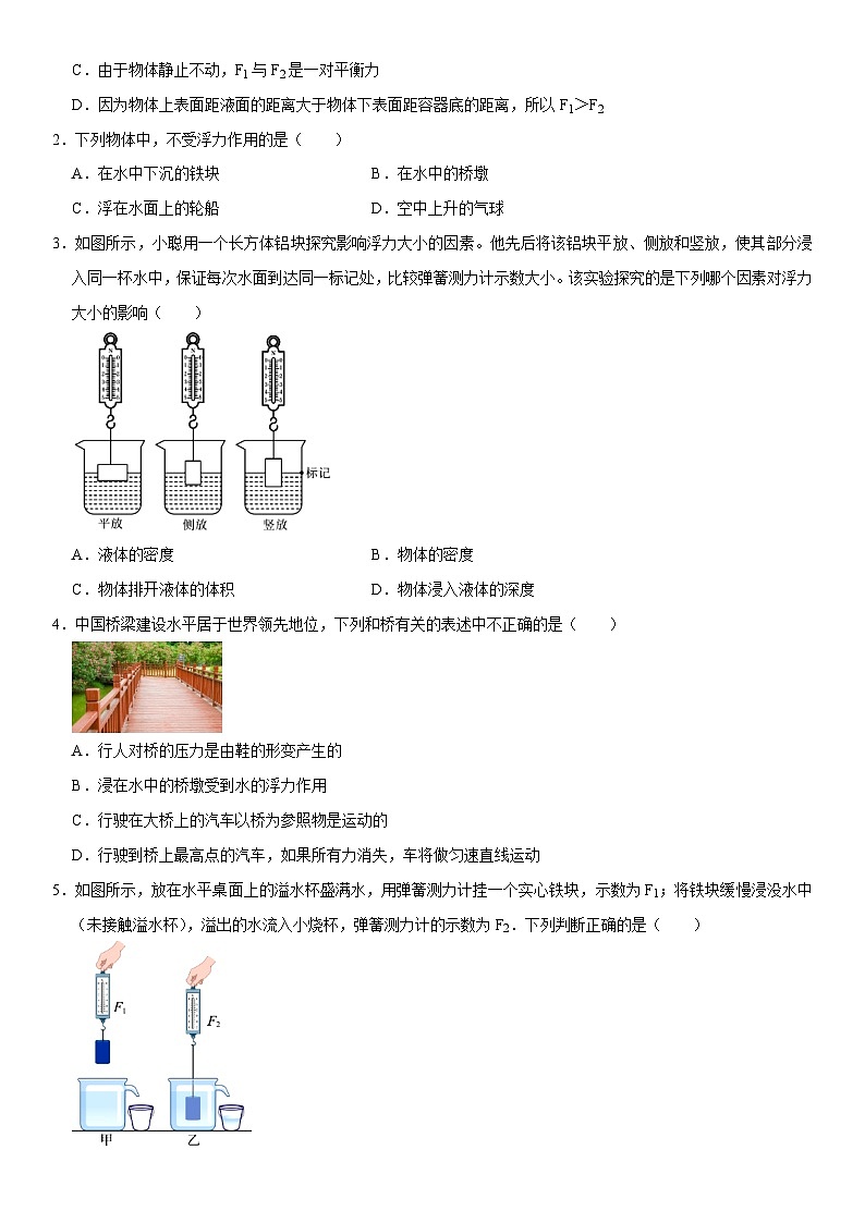 第10章 浮力（核心考点讲练）（原卷版）第2页