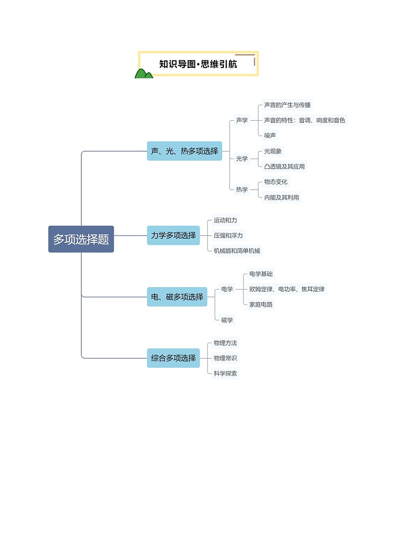 2025届中考物理二轮复习 专题12 多项选择题（讲练）（解析版）第3页