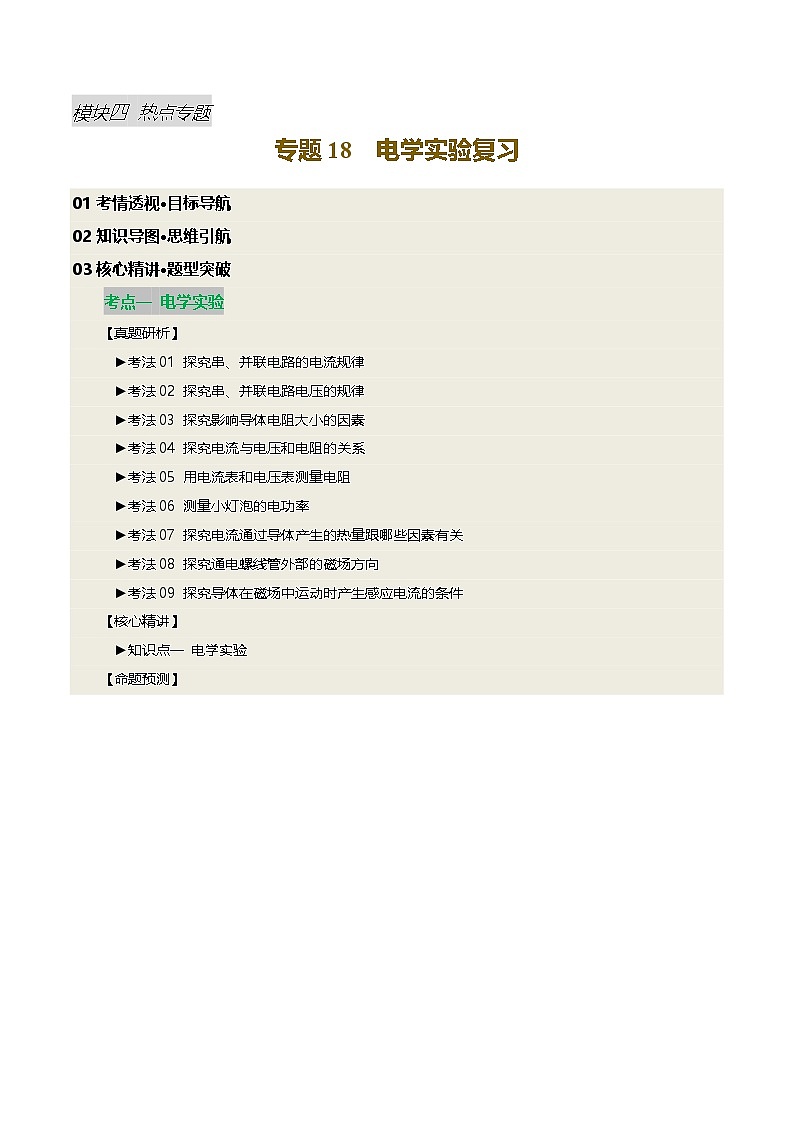 2025届中考物理二轮复习 专题18 电学实验复习（讲练）（原卷版）第1页