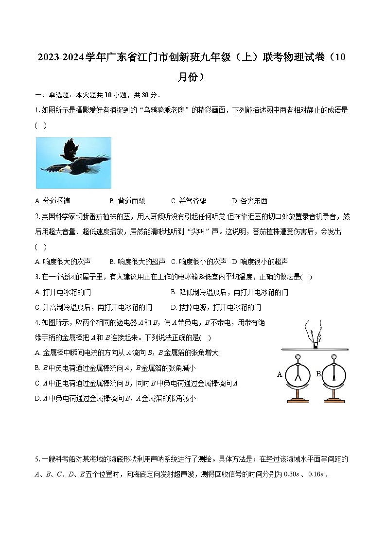 广东省江门市蓬江区2023-2024学年九年级上学期10月联考物理试题+第1页