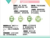 9.2 阿基米德原理（同步課件）-2024-2025學(xué)年八年級物理下冊（滬粵版2024）