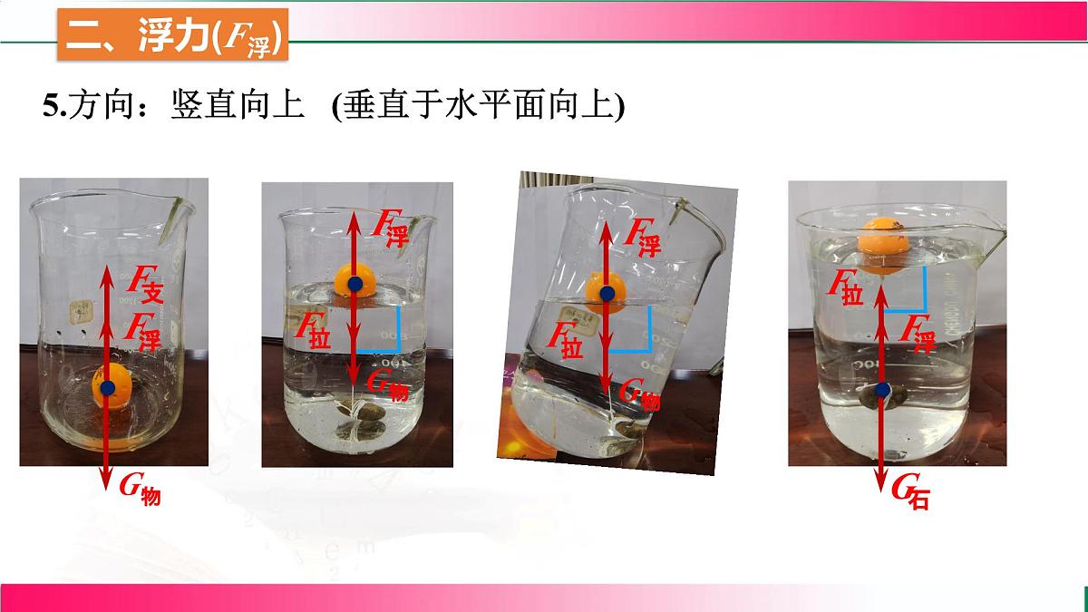 9.1 认识浮力-2024-2025学年沪科版物理八年级下学期 课件第6页