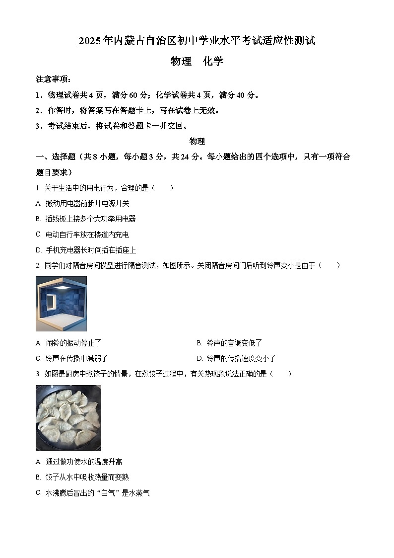 2025年内蒙古自治区中考一模物理试题（原卷版+解析版）第1页