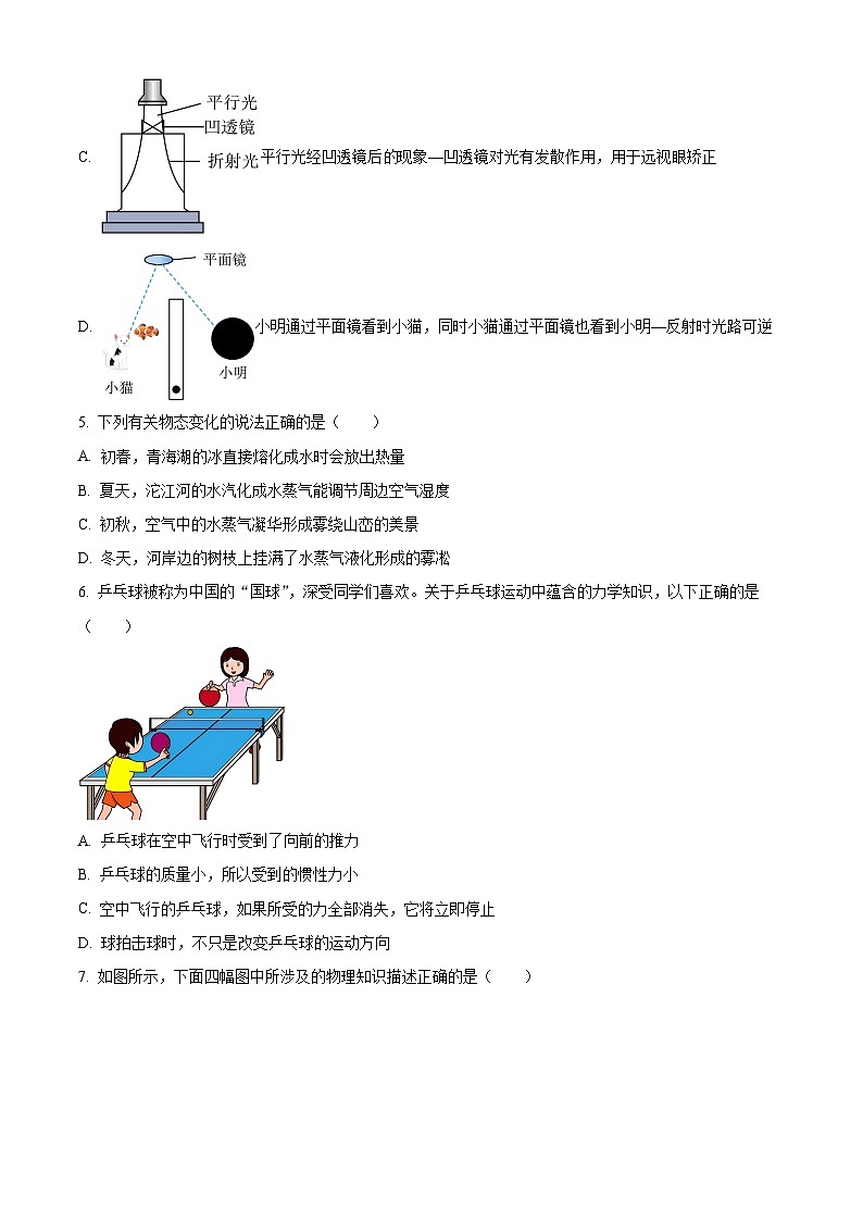 2025年四川省内江市第一中学中考一模物理试题（原卷版+解析版）第2页