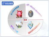 第九章《壓強》復(fù)習(xí)課件 物理教科版（2024）八年級下冊第九章