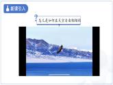 10.1《在流體中運動》課件 物理教科版（2024）八年級下冊第十章教案