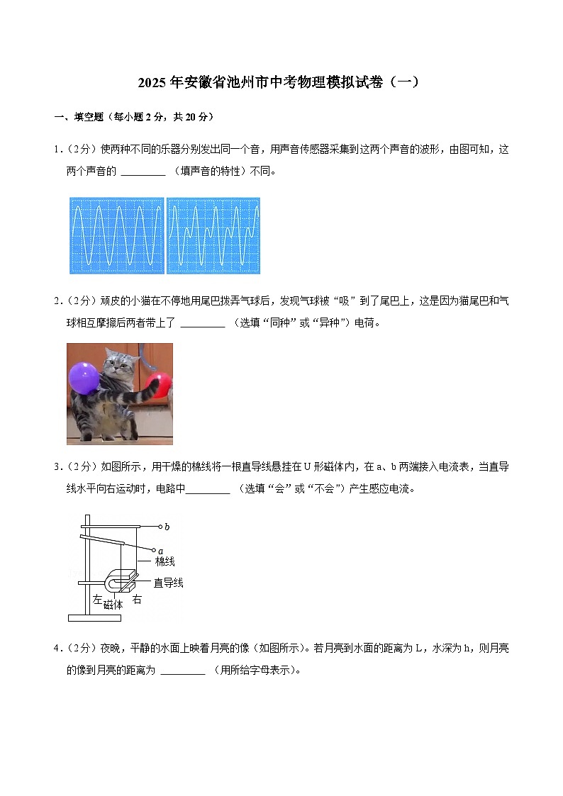 2025年安徽省池州市中考物理模拟试卷（一）第1页
